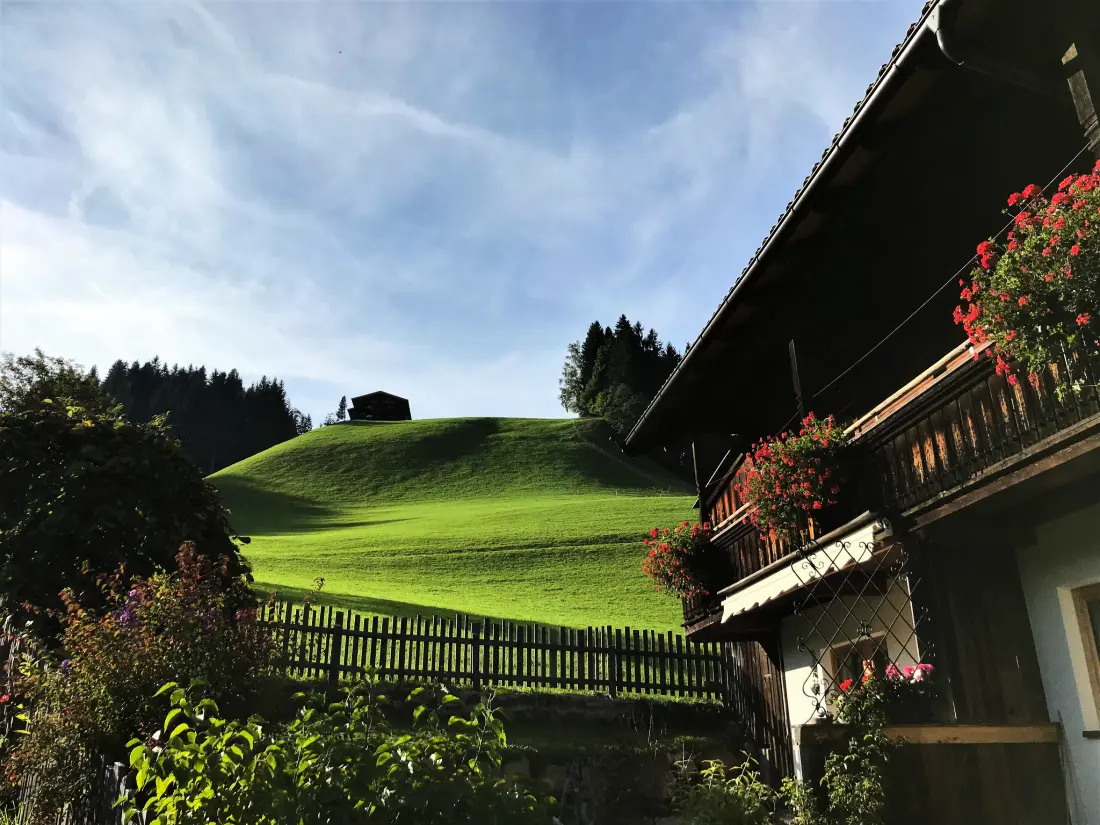 Résidence Chalet Edelweiß