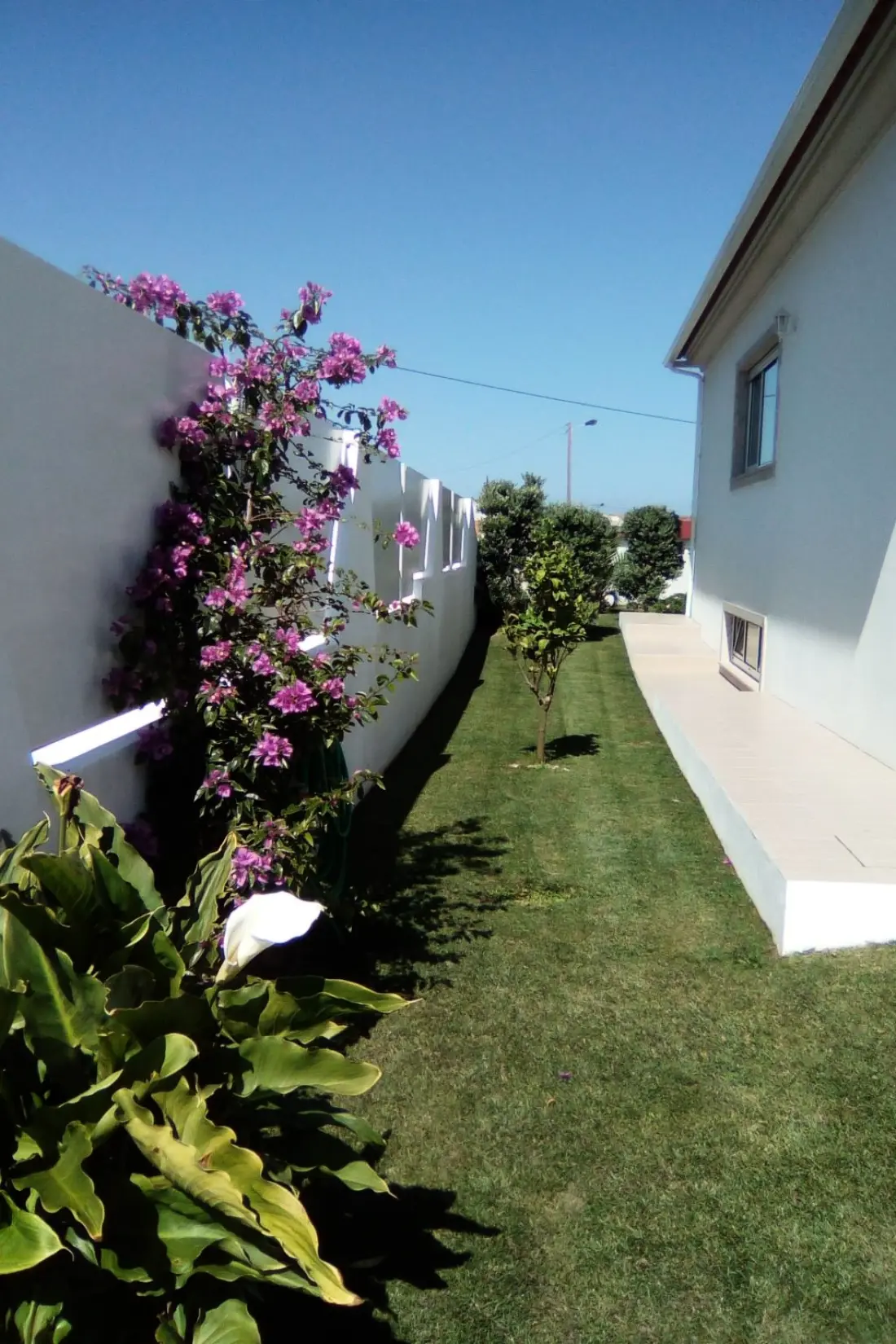 Maison de Vacances Aveiro