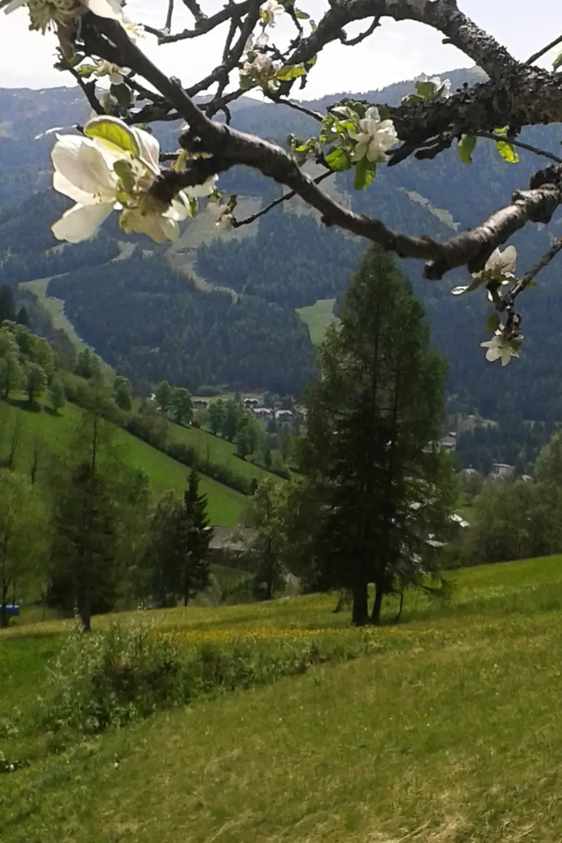 Maison de Vacances Bad Kleinkirchheim
