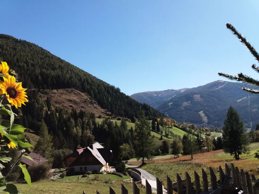 Maison de Vacances Bad Kleinkirchheim