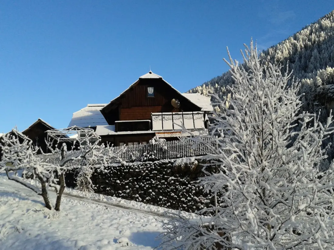Maison de Vacances Bad Kleinkirchheim