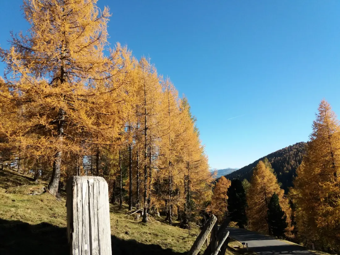 Maison de Vacances Bad Kleinkirchheim