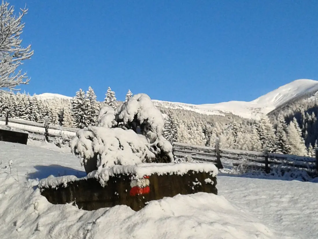 Maison de Vacances Bad Kleinkirchheim