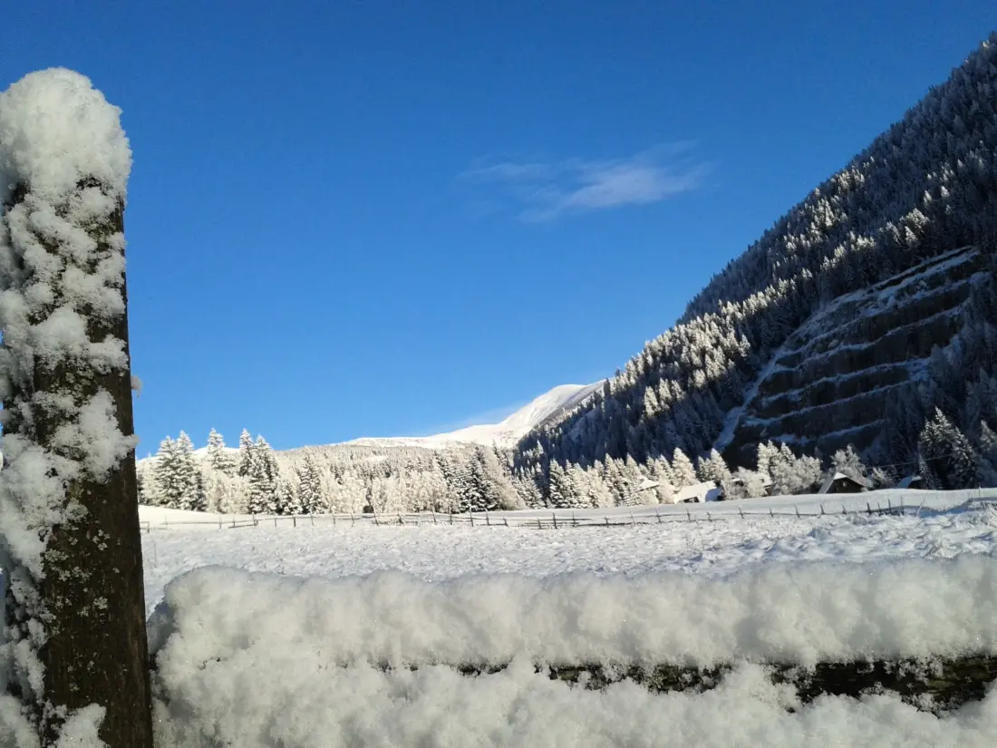 Maison de Vacances Bad Kleinkirchheim