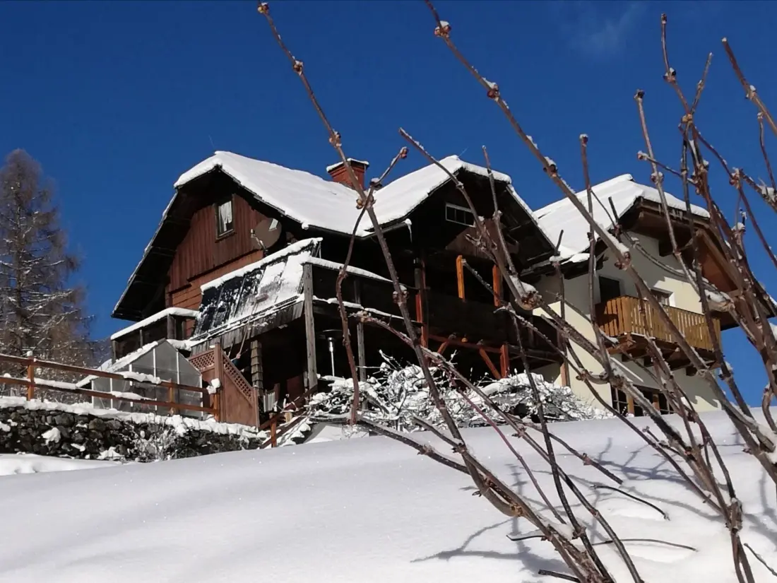 Maison de Vacances Bad Kleinkirchheim