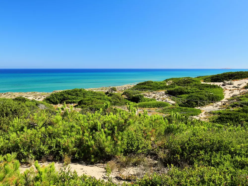 Maison de Vacances Badesi