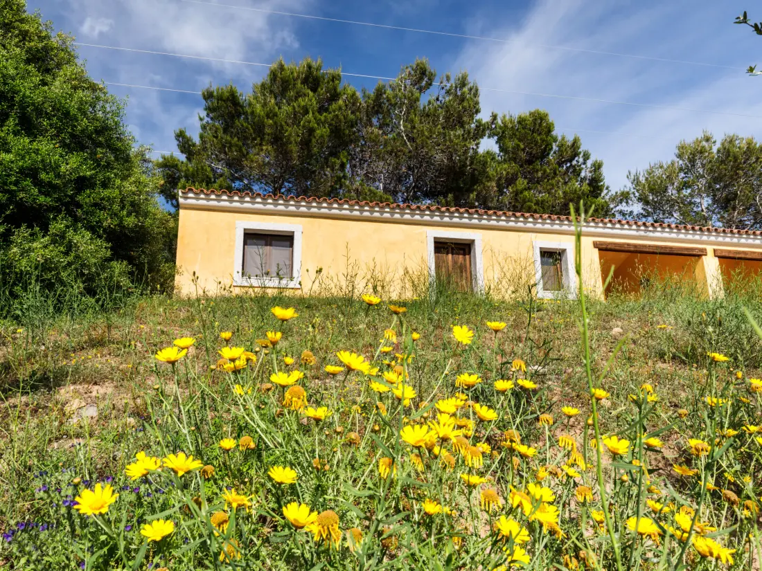 Maison de Vacances Badesi