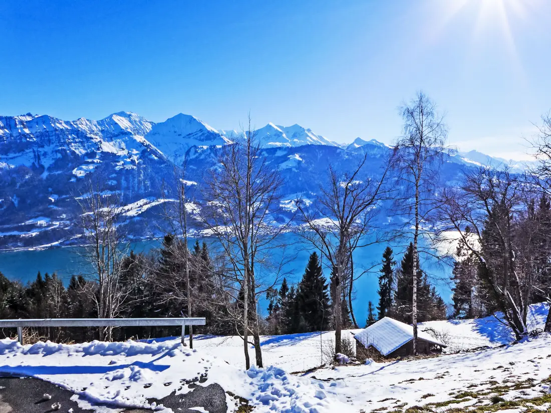 Résidence Berg-Seeblick