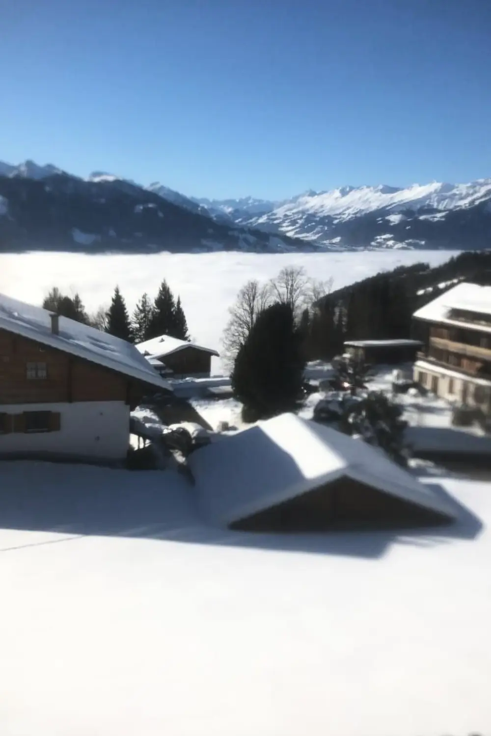 Résidence Chalet Friedheim