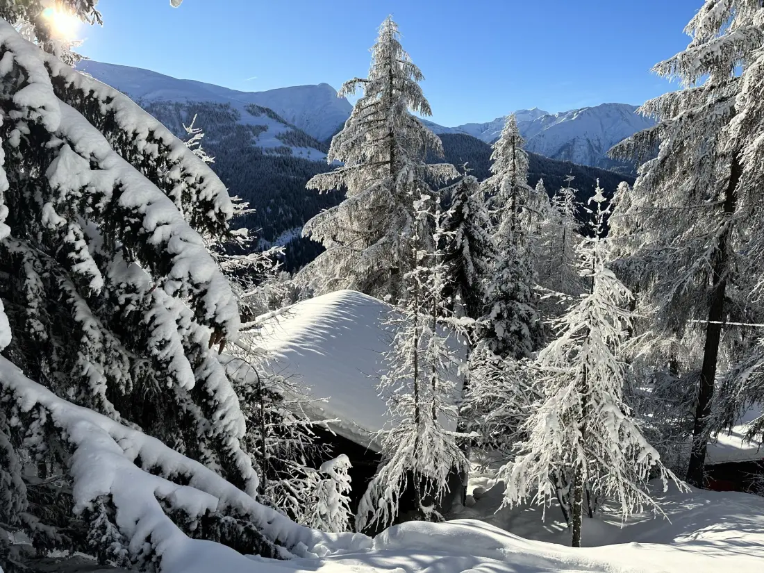 Chalet Bellwald