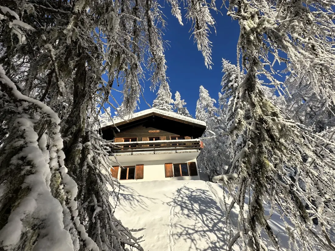 Chalet Bellwald