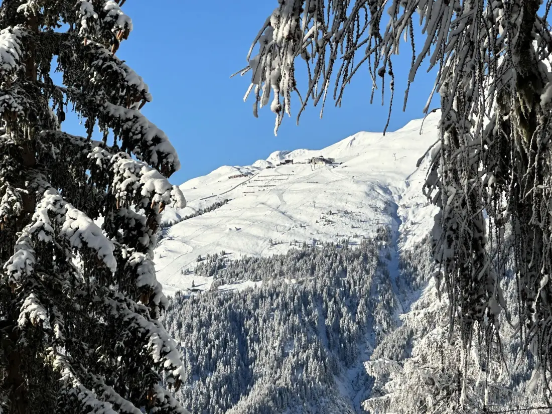 Chalet Bellwald