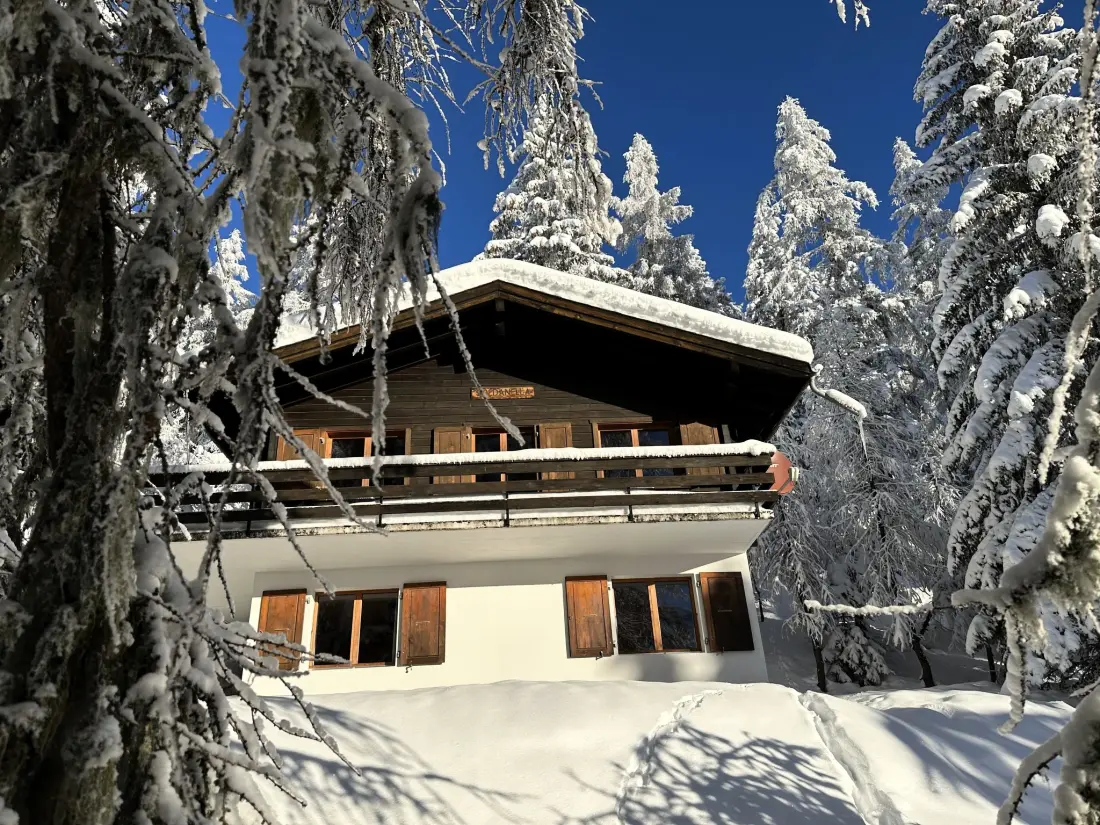 Chalet Bellwald