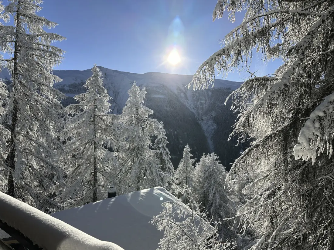 Chalet Bellwald