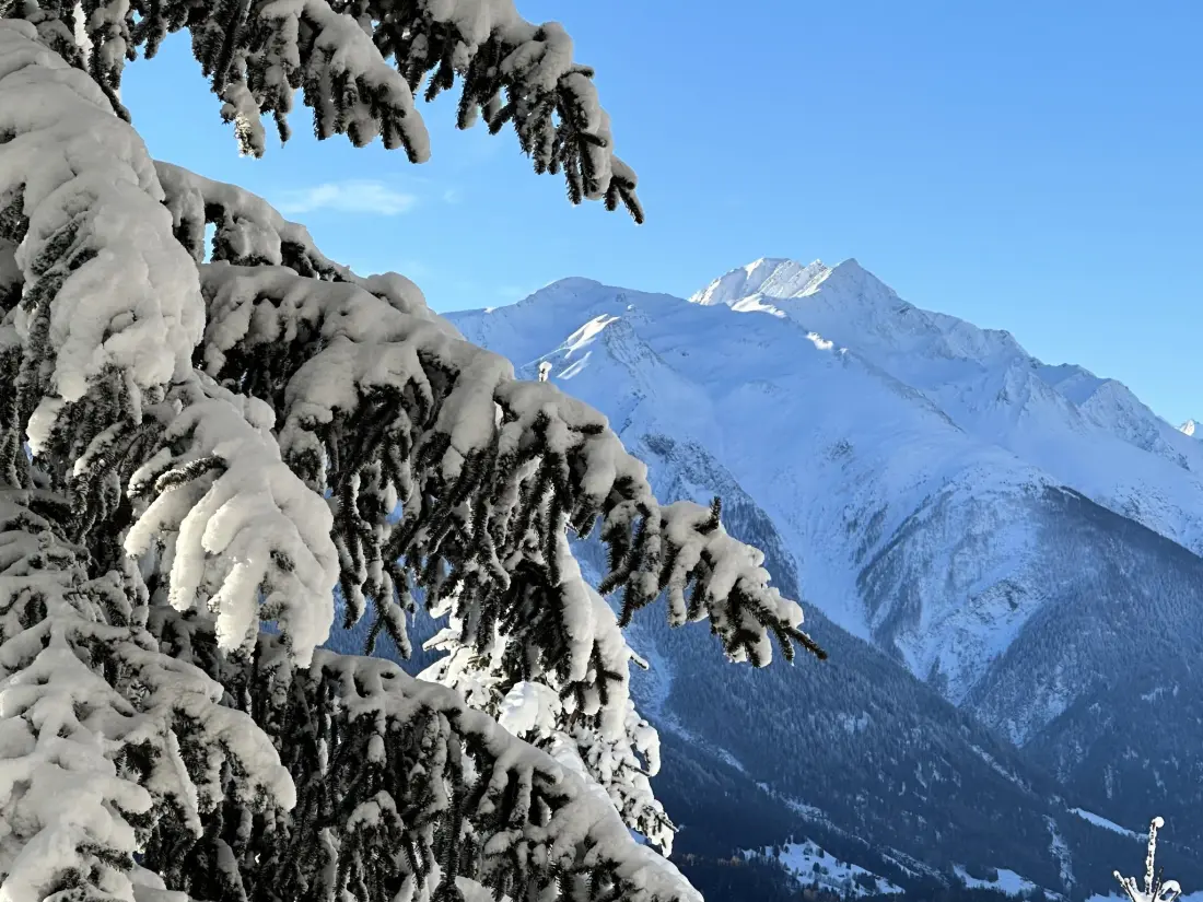 Chalet Bellwald