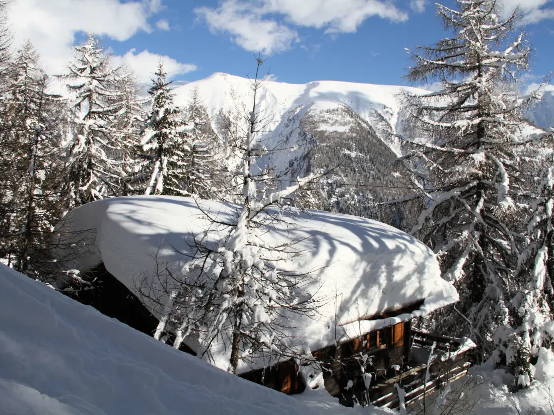 Chalet Bellwald