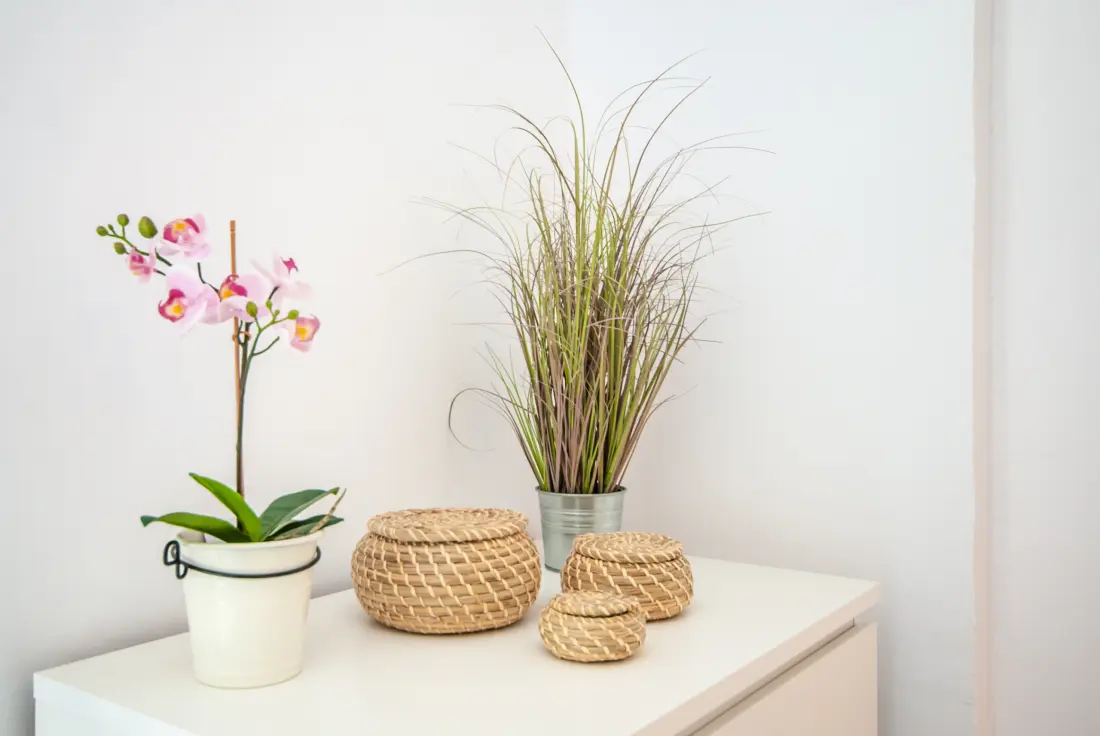 Appartements à Benalmádena