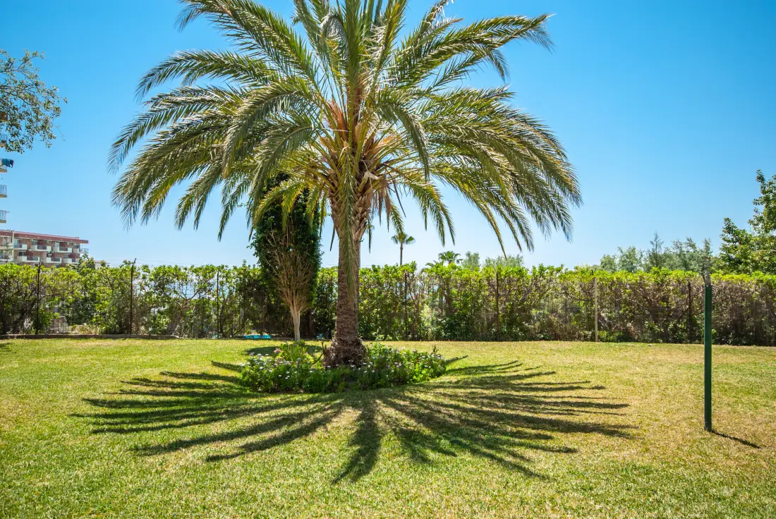 Appartements à Benalmádena