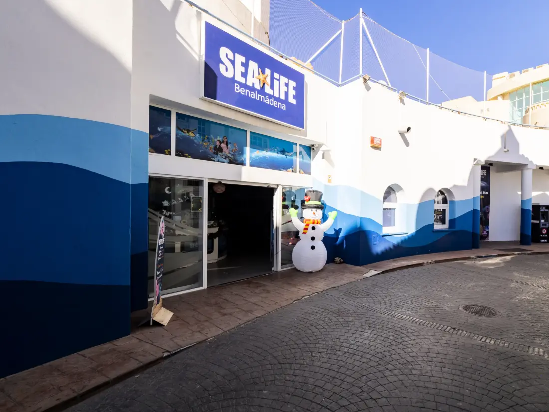 Appartements à Benalmádena