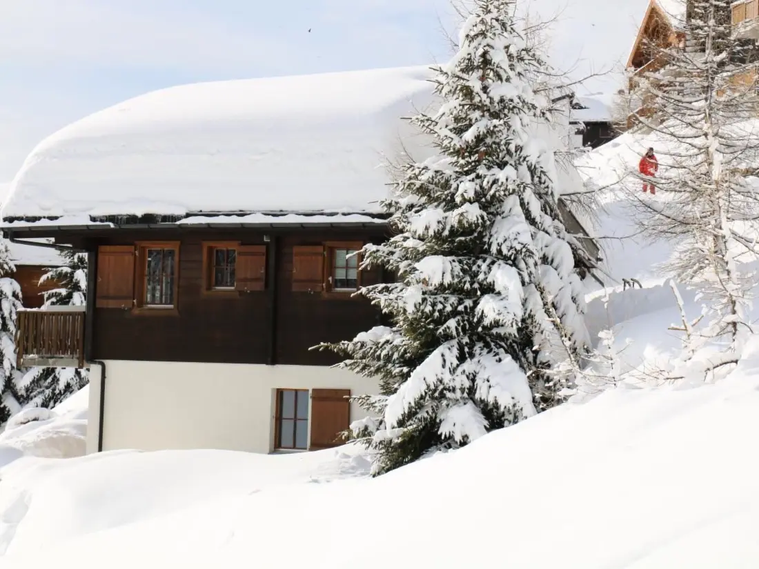 Maison de Vacances Bettmeralp