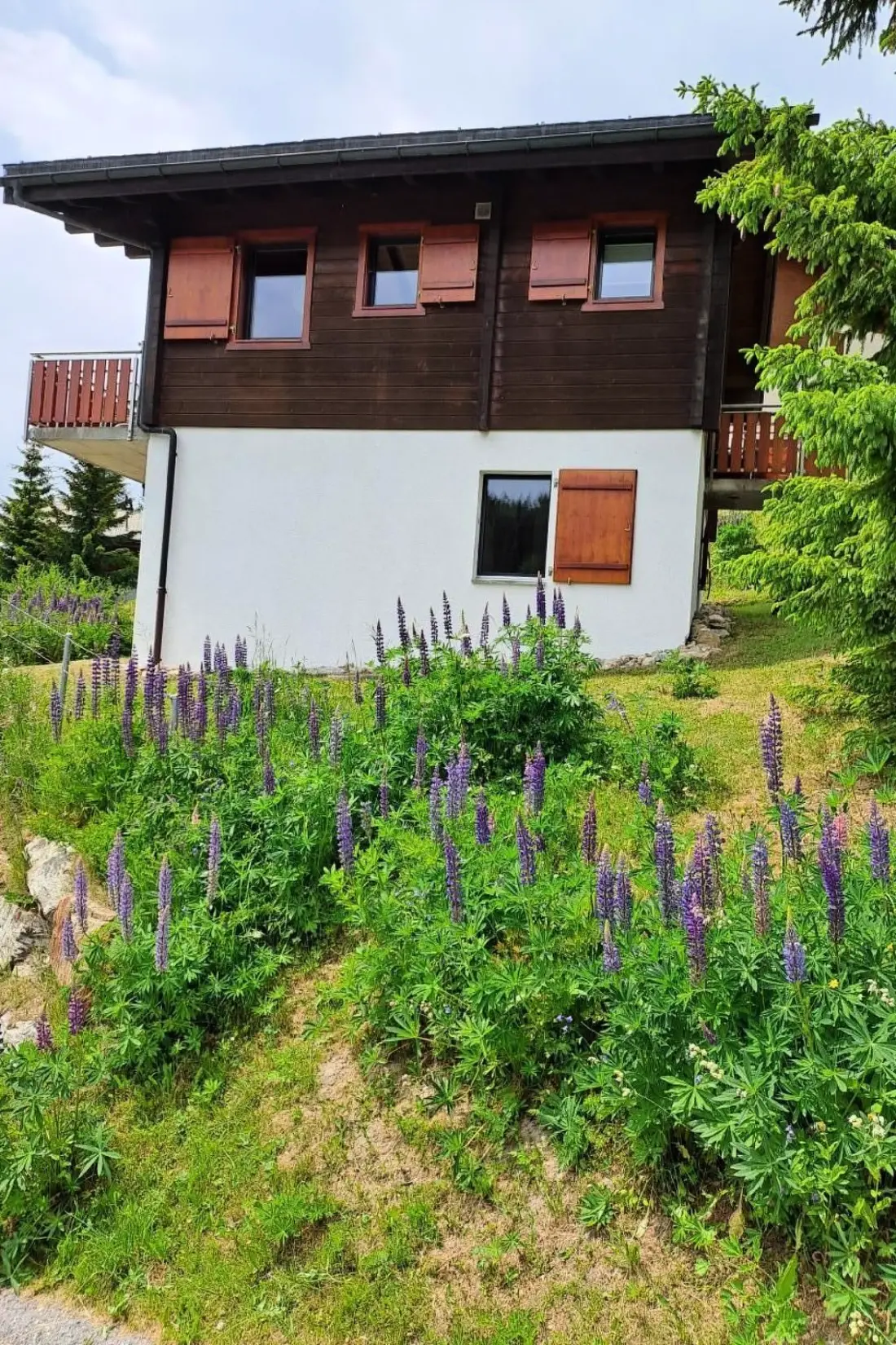Maison de Vacances Bettmeralp