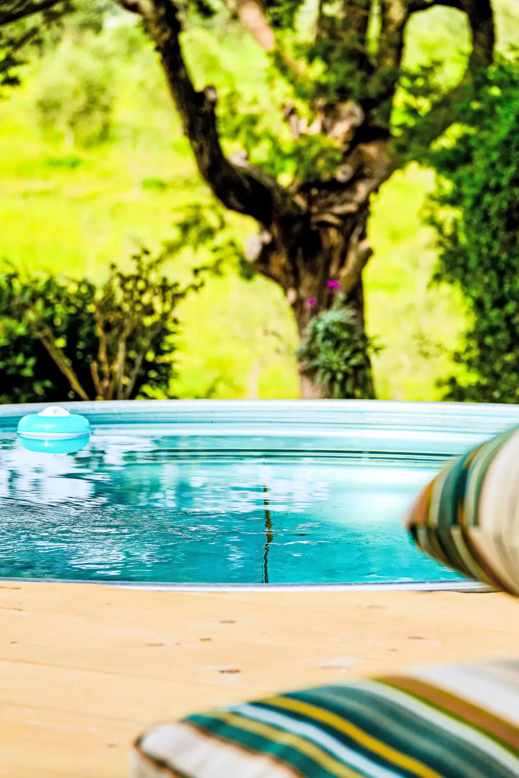 Maison de Vacances Bibbona