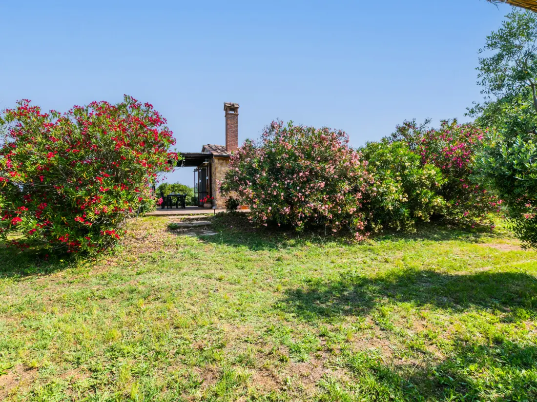 Maison de Vacances Bibbona
