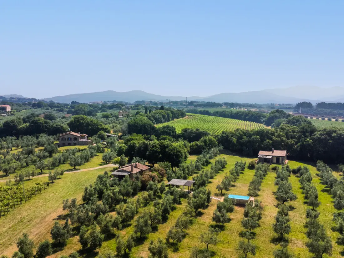 Maison de Vacances Bibbona