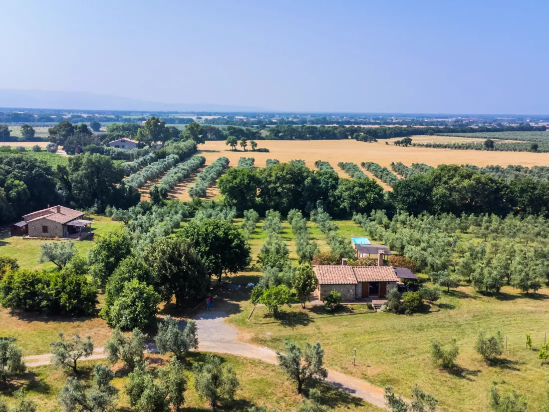 Maison de Vacances Bibbona