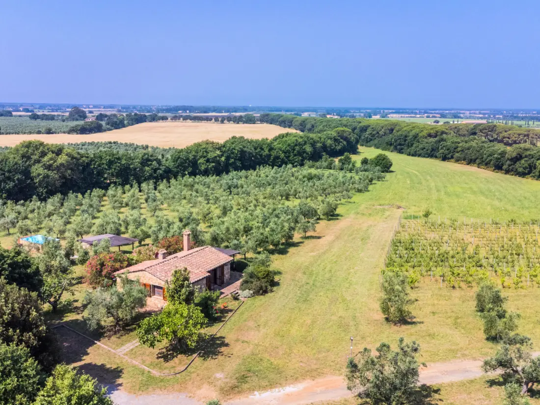 Maison de Vacances Bibbona