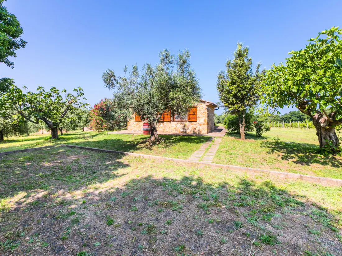 Maison de Vacances Bibbona