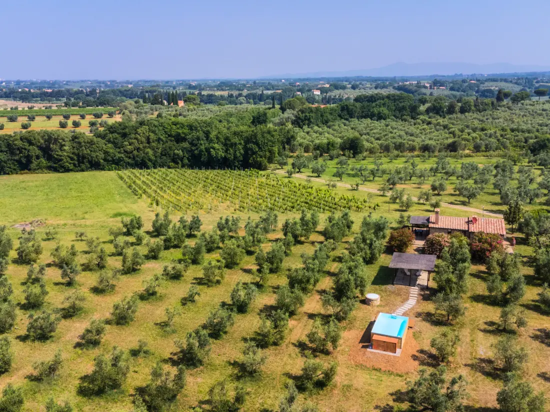 Maison de Vacances Bibbona