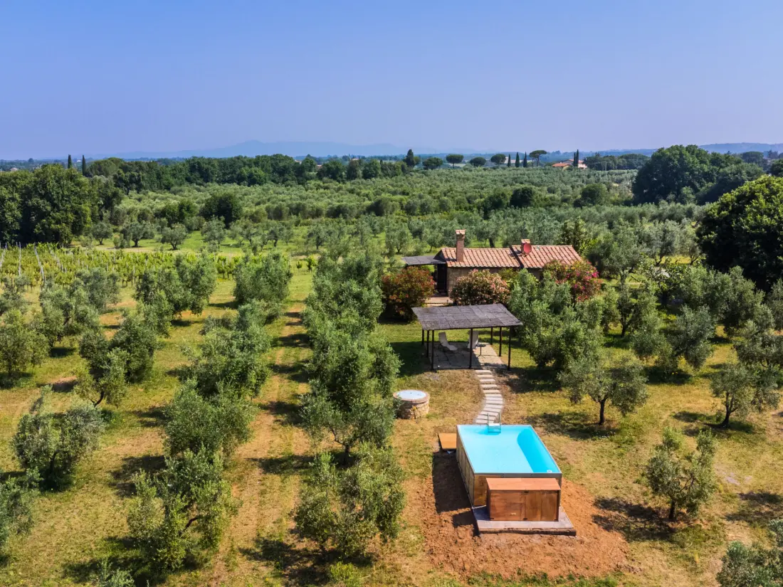Maison de Vacances Bibbona