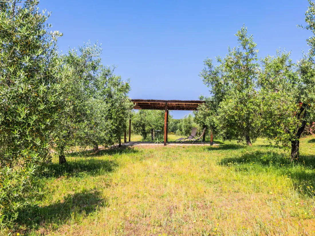 Maison de Vacances Bibbona