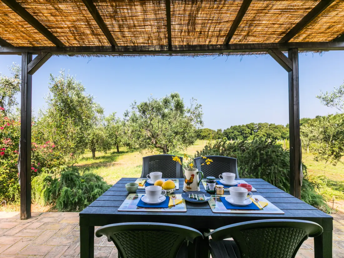 Maison de Vacances Bibbona