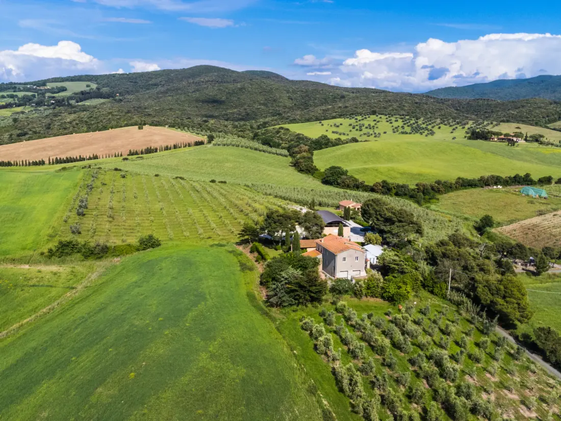 Maison de Vacances Bibbona