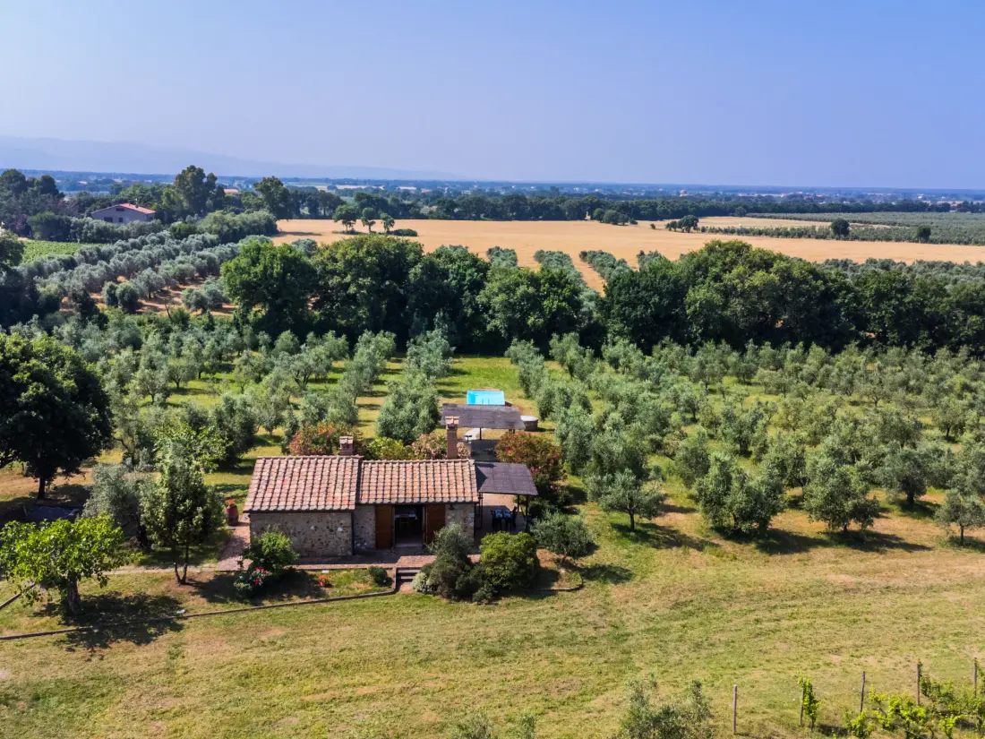 Maison de Vacances Bibbona