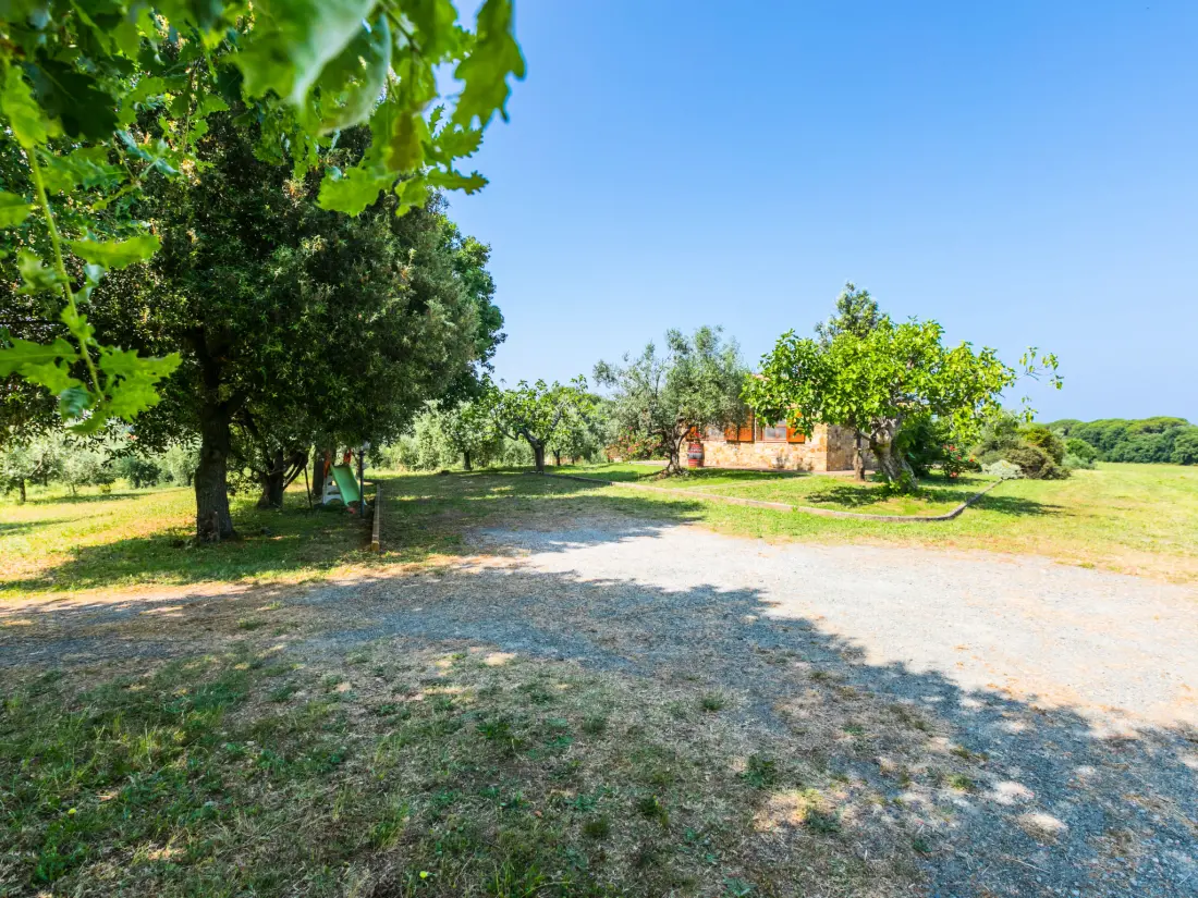 Maison de Vacances Bibbona