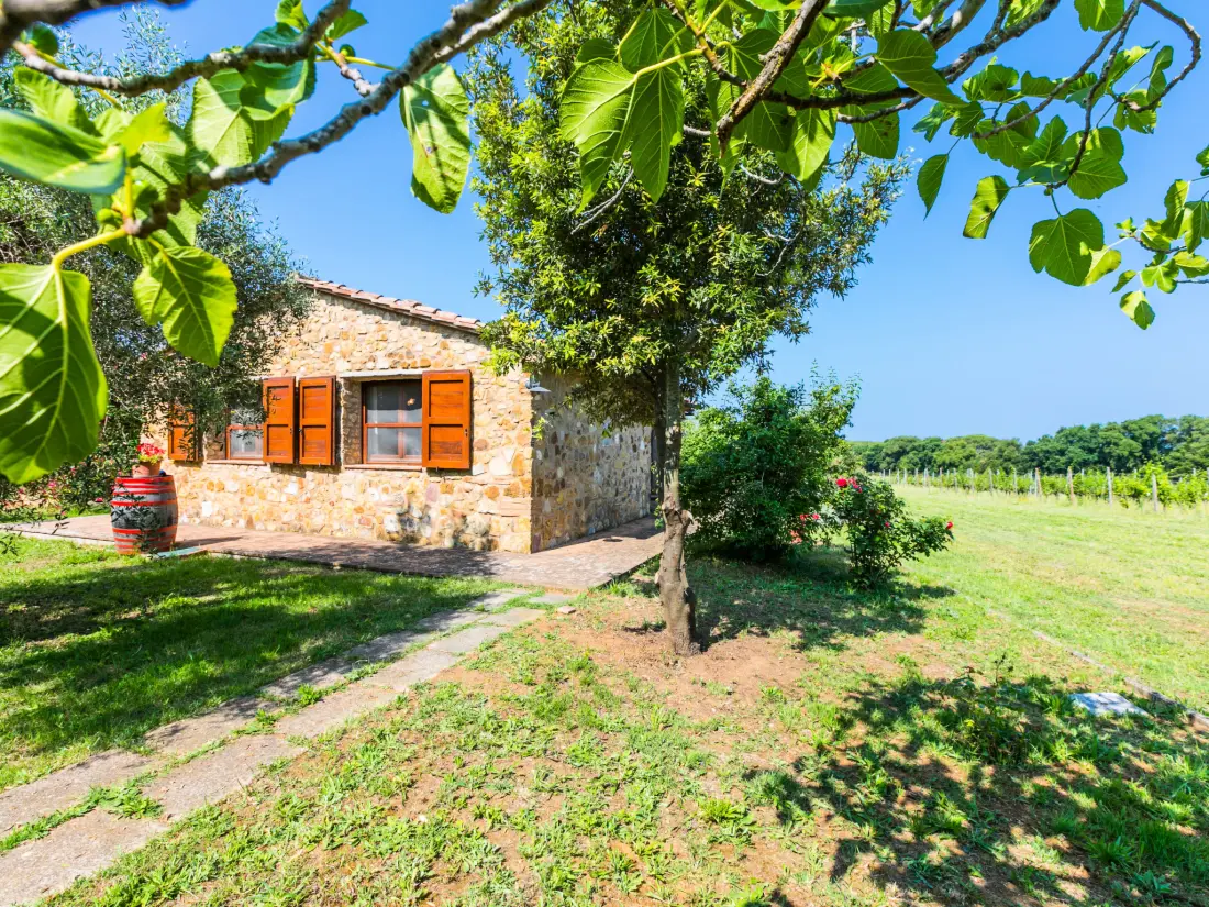 Maison de Vacances Bibbona