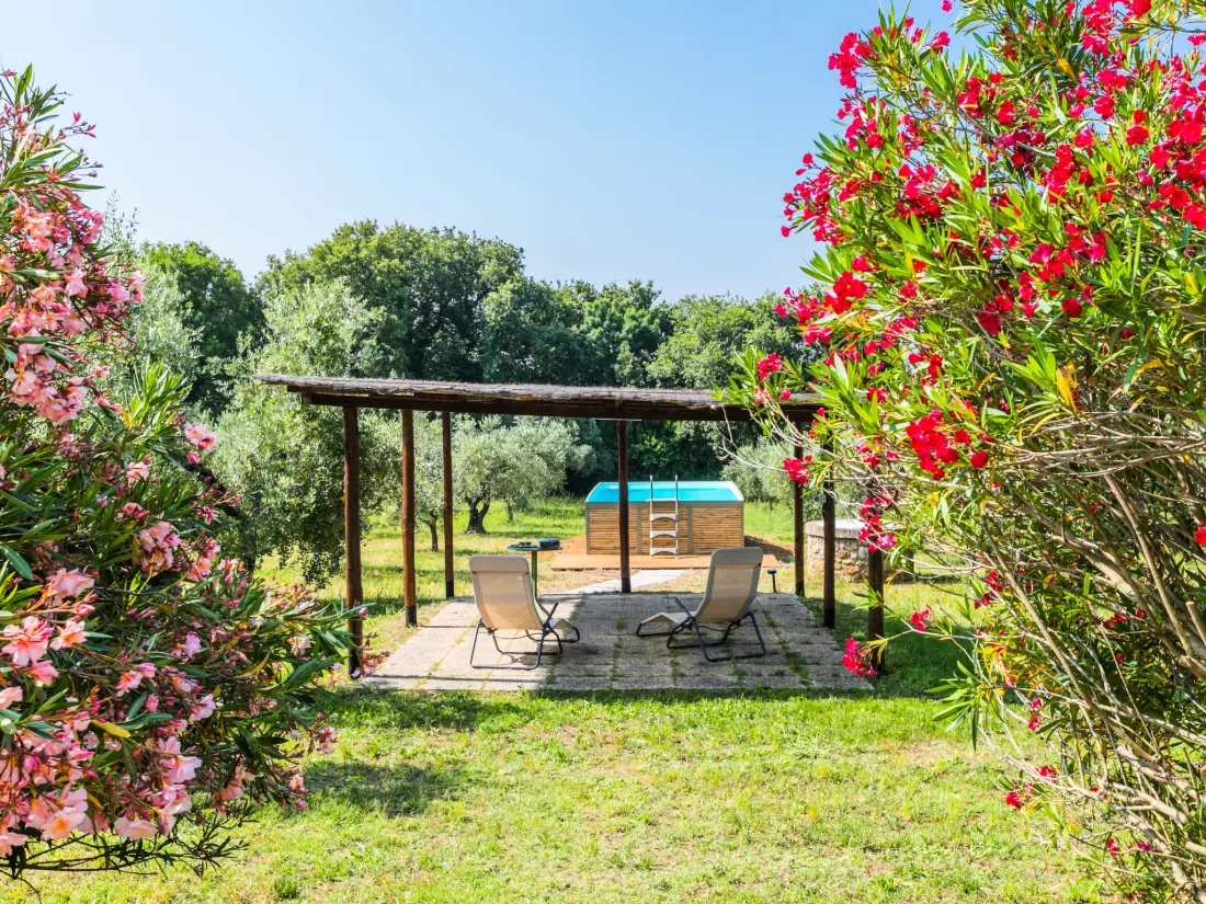 Maison de Vacances Bibbona