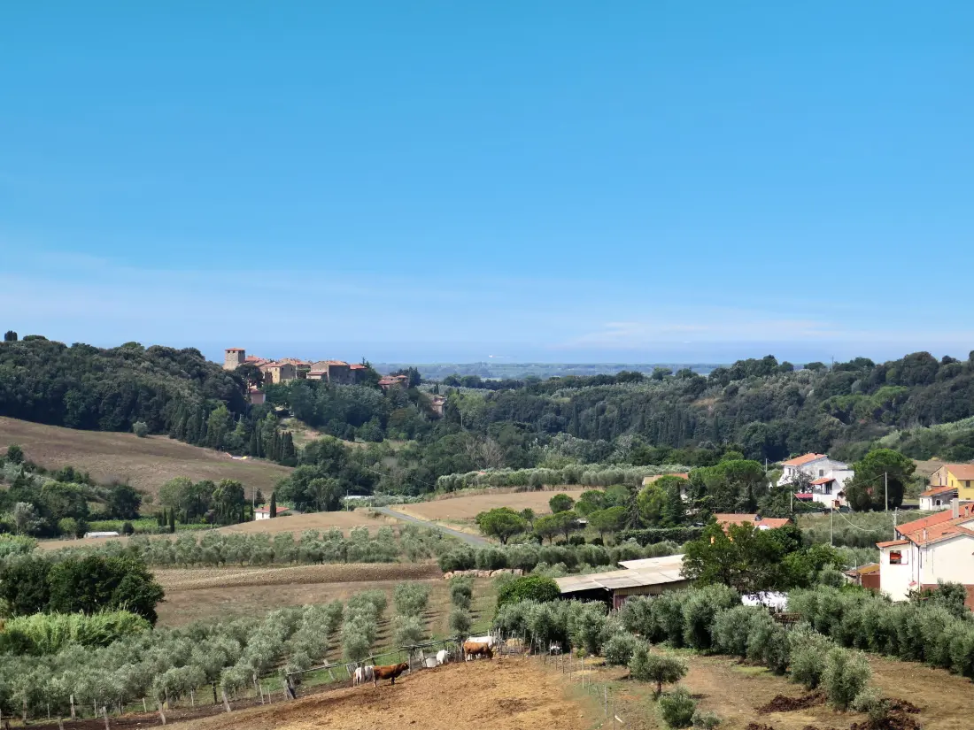Maison de Vacances Bibbona