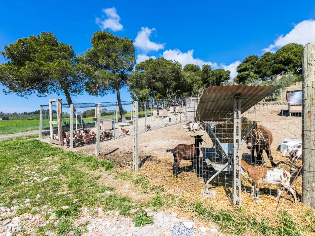 Maison de Vacances Bibbona