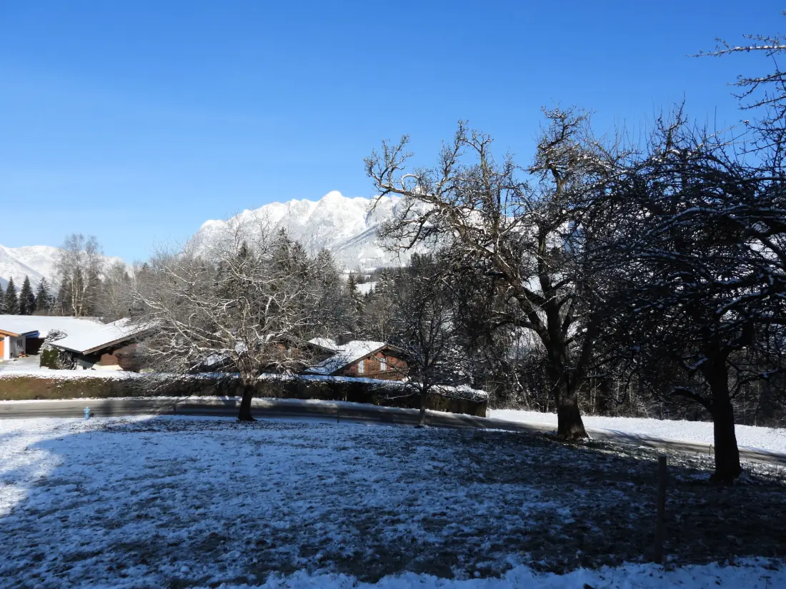 Maison de Vacances Bischofshofen