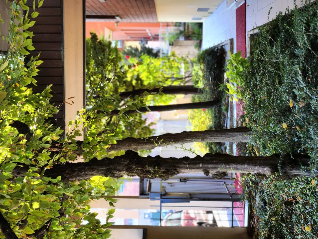 Résidence Auf dem Messegelände 14, in der Nähe des Zentrum