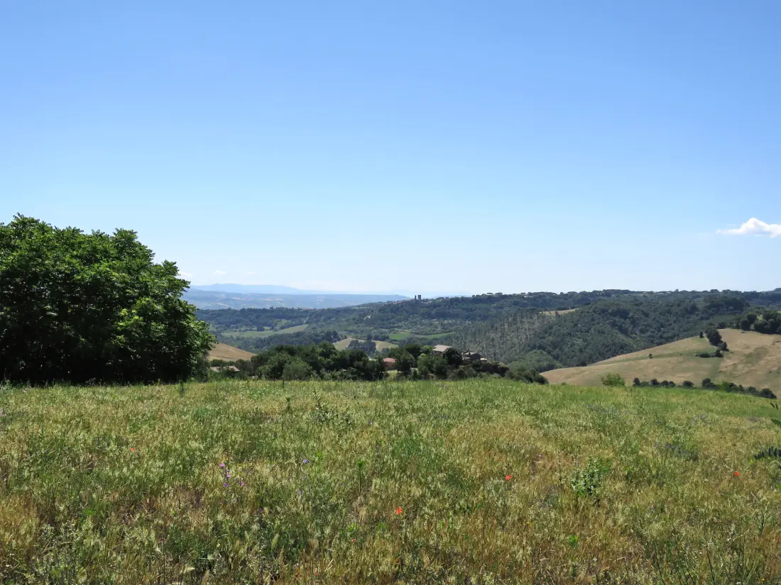 Résidence Poggiolo