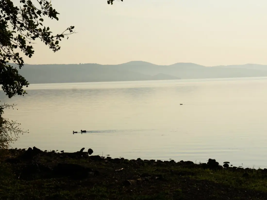 Maison de Vacances Bracciano