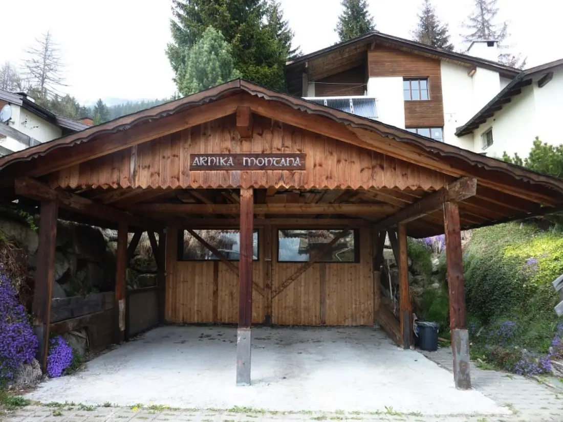 Résidence Ferienhaus Arnika Montana, Brigels, (Breil/Brigels), 65044B