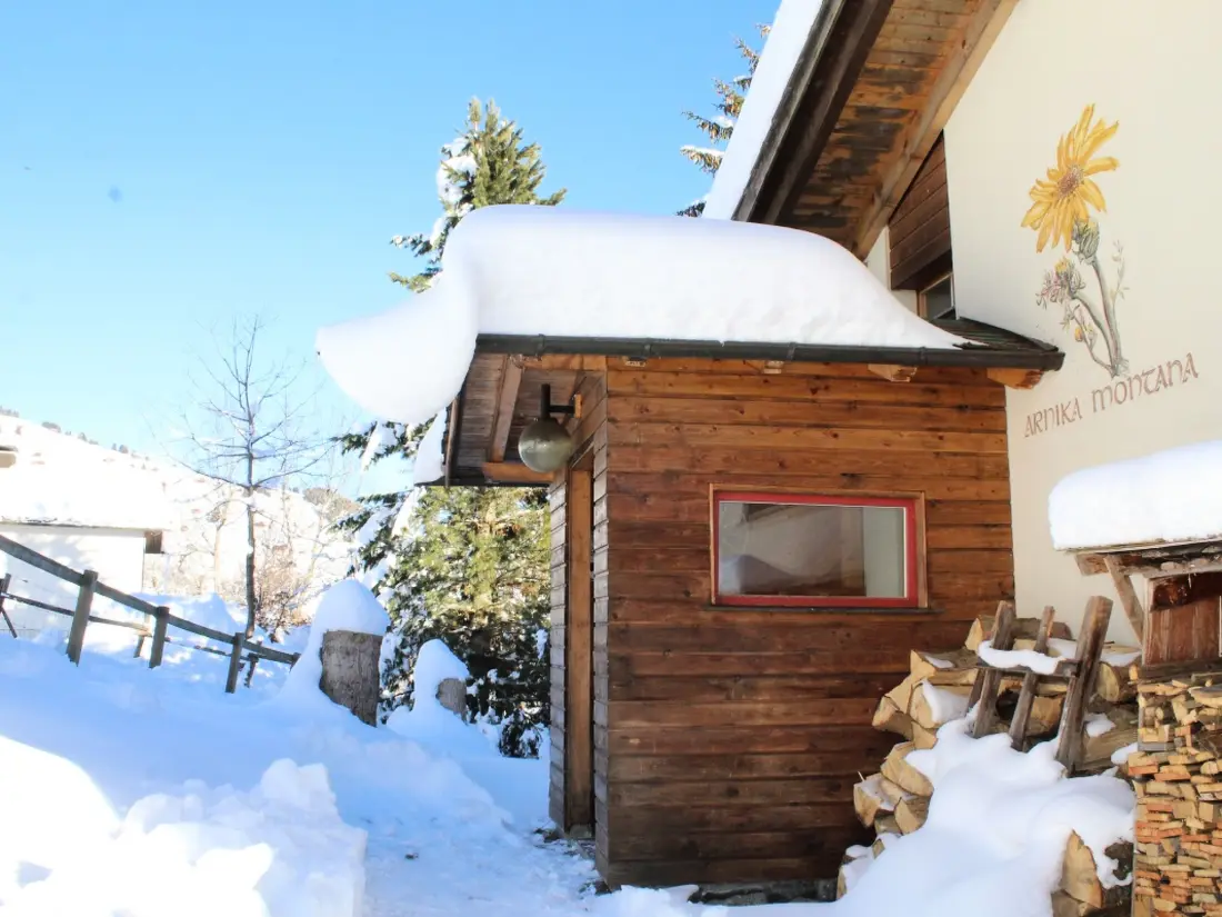 Résidence Ferienhaus Arnika Montana, Brigels, (Breil/Brigels), 65044B