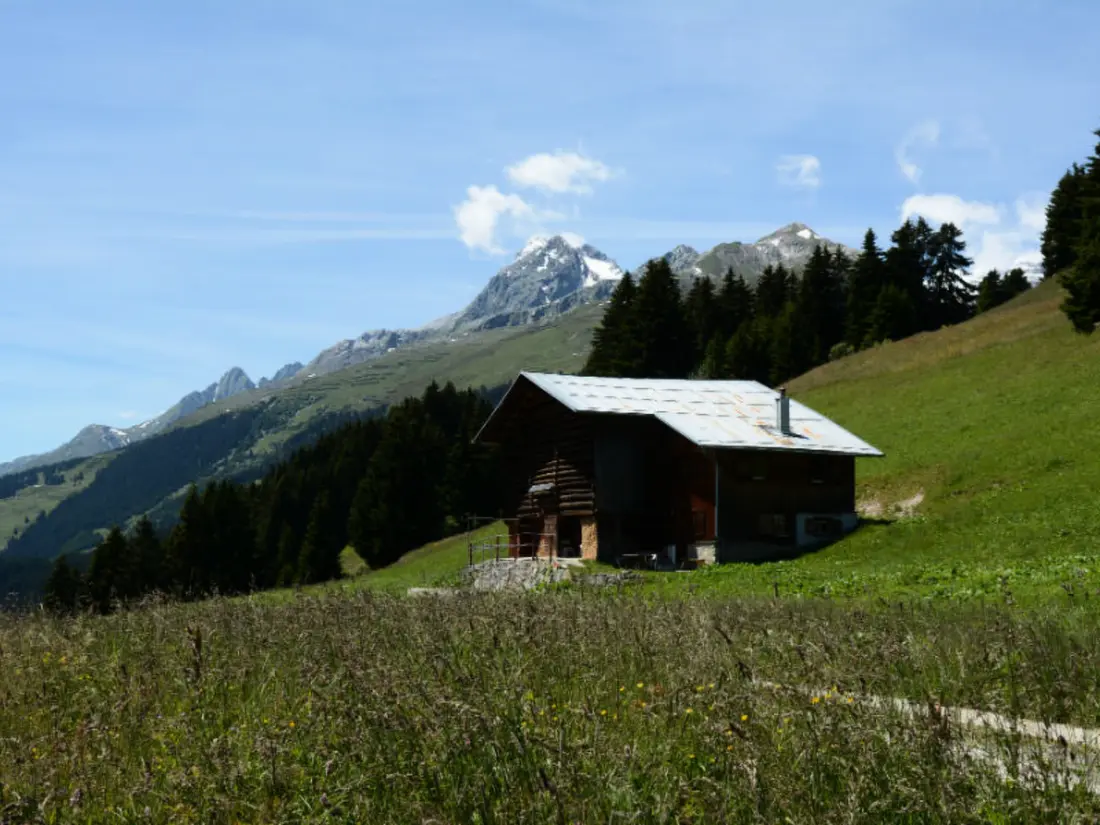 Résidence Maiensäss Plumarscha Friberg, Brigels, (Breil/Brigels), 65036B