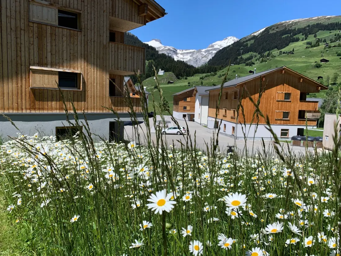 Résidence Pradas Resort Brigels, (Breil/Brigels), 65055B